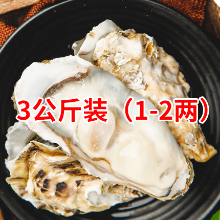 乳山牡蛎1-2两三公斤装（净重4.7斤)