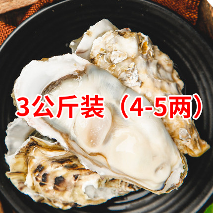 乳山牡蛎4-5两三公斤装（净重4.7斤)